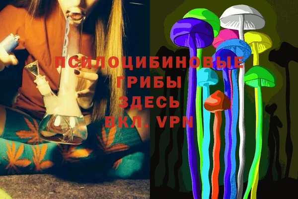 скорость Арсеньев