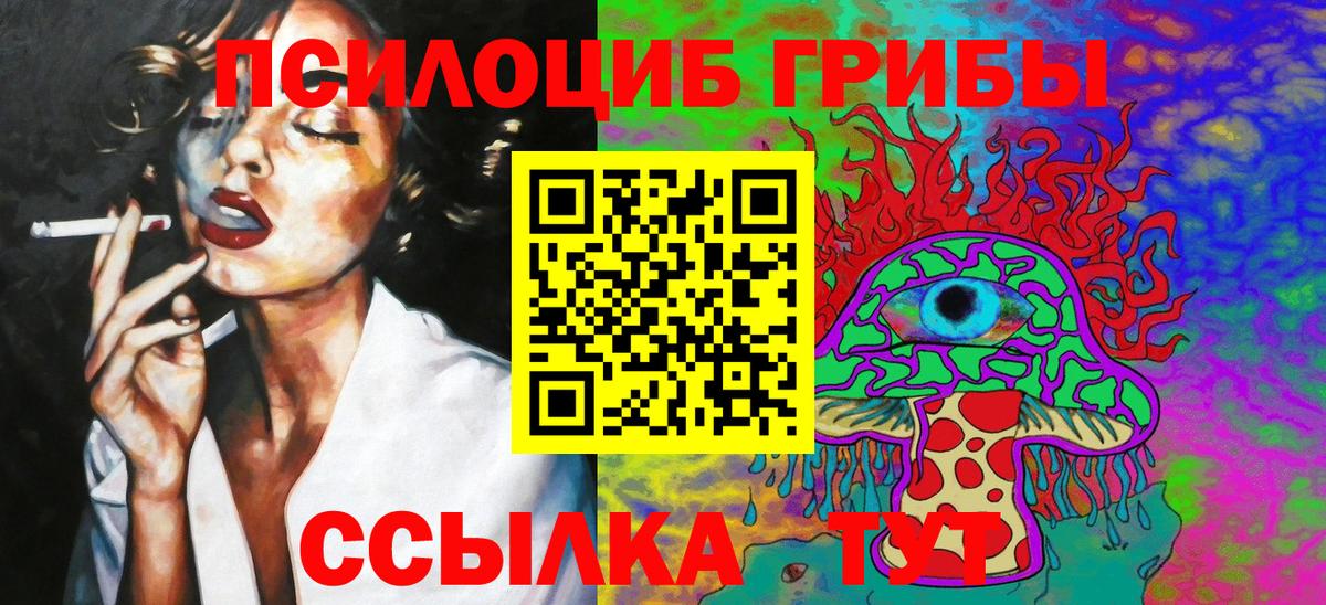 Сибай  Псилоцибиновые грибы MAGIC MUSHROOMS  Вход с VPN 