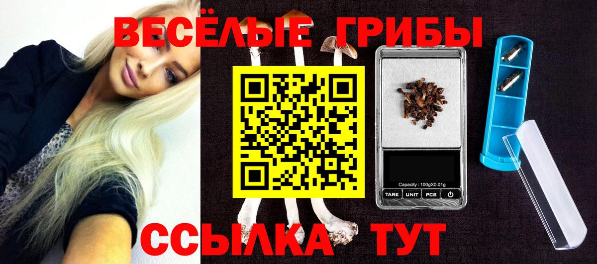 Галлюциногенные грибы мухоморы Сибай